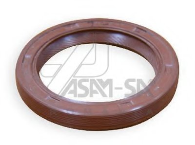 01337 ASAM