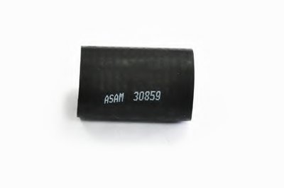 30859 ASAM