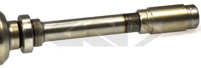 24773 SPIDAN