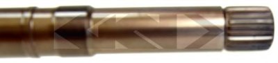 25126 SPIDAN