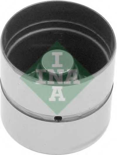420010610 INA