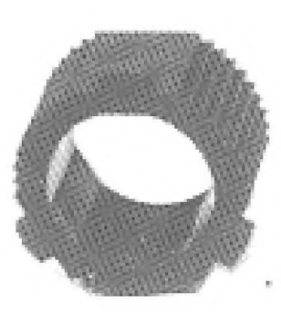 00444 Metalcaucho