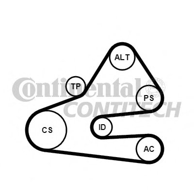 6PK1613K1 CONTITECH