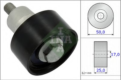 532075310 INA