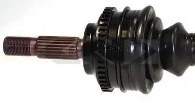 24377 SPIDAN