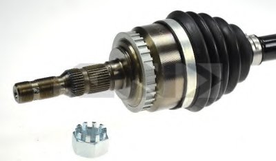24974 SPIDAN