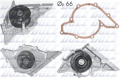 A194 DOLZ