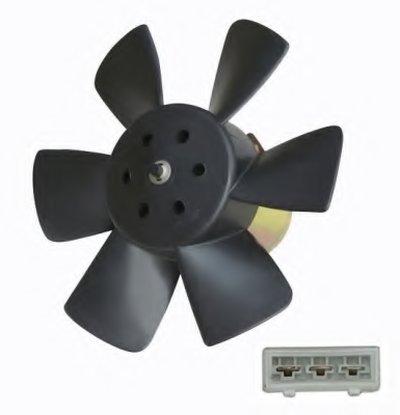47429 NRF