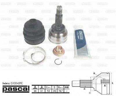 G10343PC PASCAL