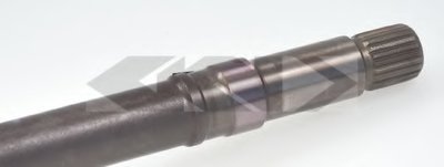23353 SPIDAN