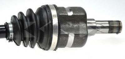 24974 SPIDAN