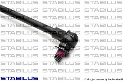 043738 STABILUS