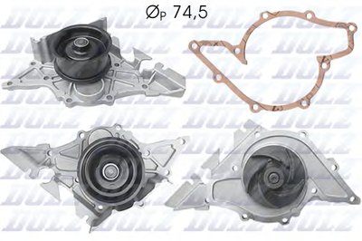 A195 DOLZ
