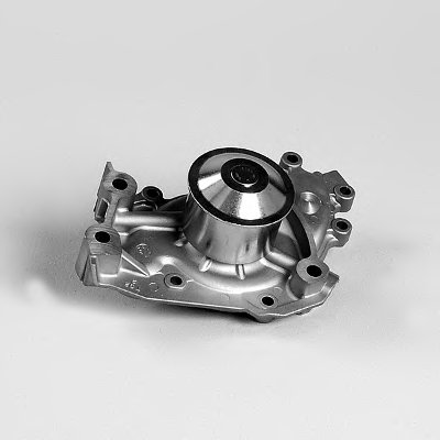 P7654 HEPU