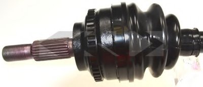 24938 SPIDAN