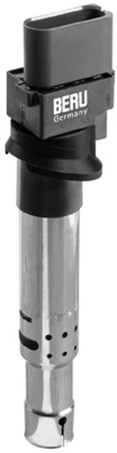ZSE041 BERU