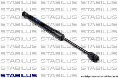 017120 STABILUS