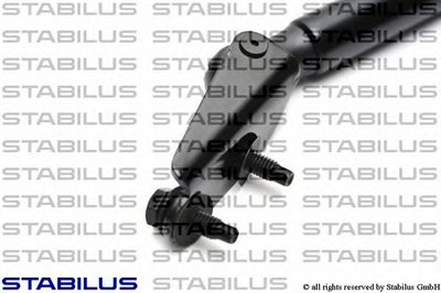 043738 STABILUS