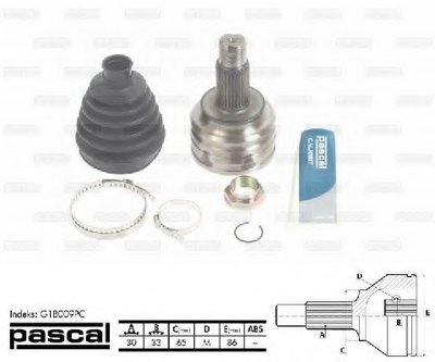G1B009PC PASCAL