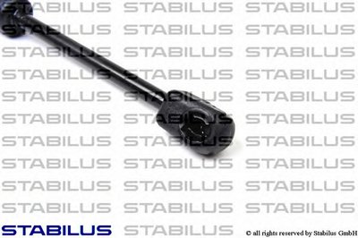 017120 STABILUS