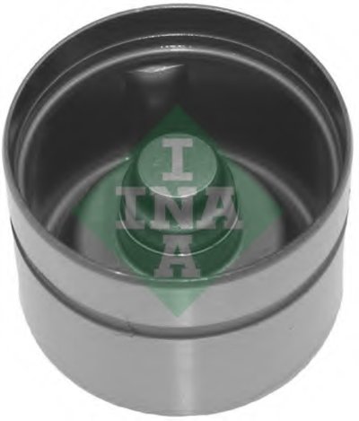 420017010 INA