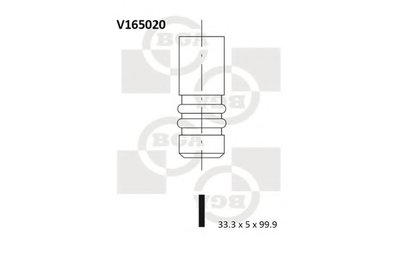 V165020 BGA