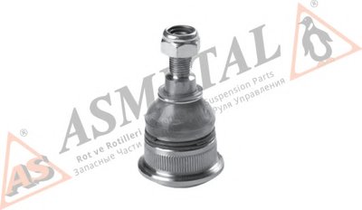 10RN5205 AS METAL