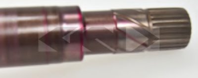 24938 SPIDAN