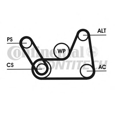 6PK1019ELASTT1 CONTITECH