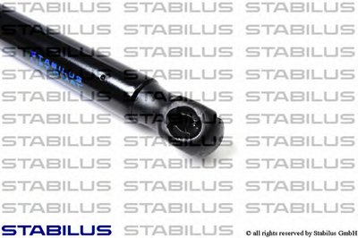 017120 STABILUS
