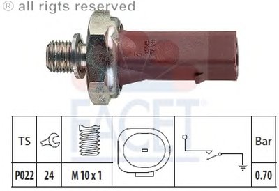 70132 FACET