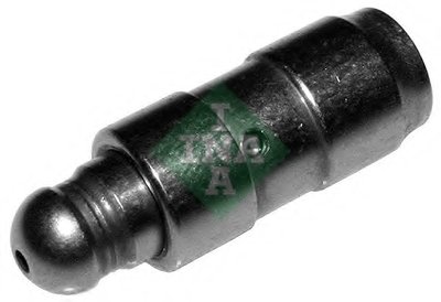 420017210 INA