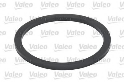 587918 VALEO