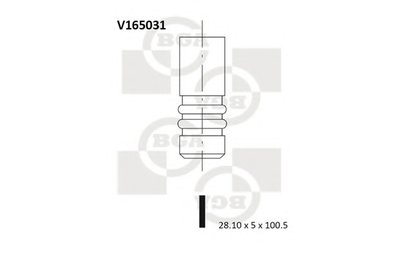 V165031 BGA