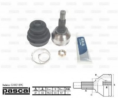 G1R018PC PASCAL