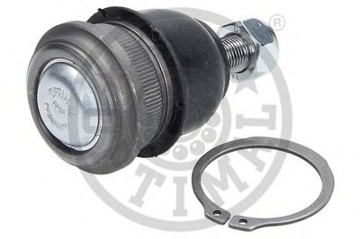 G3896 OPTIMAL