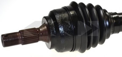 21734 SPIDAN