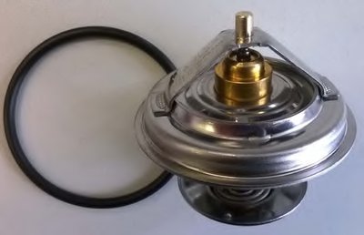 410579D WAHLER