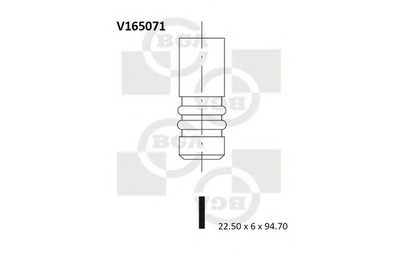 V165071 BGA