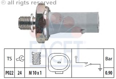 70134 FACET