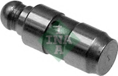 420018110 INA