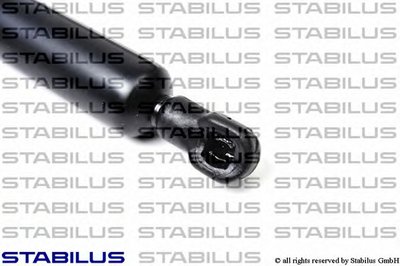 015356 STABILUS