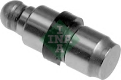 420018210 INA