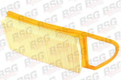 BSG30135010 BSG