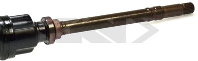 21734 SPIDAN