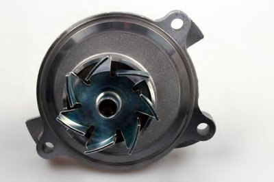 P574 HEPU
