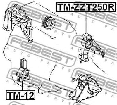 TMZZT250R FEBEST