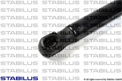 017359 STABILUS