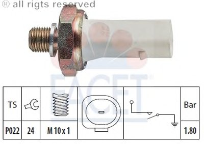 70136 FACET
