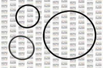 P1034 HEPU